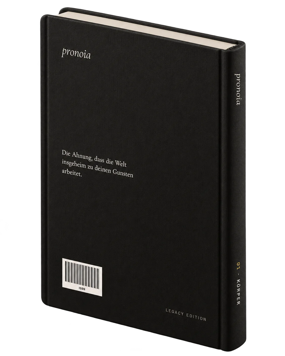 pronoia Nº 01 Körper, Prototyp V2, Farbweg Klassik, Rückseite
